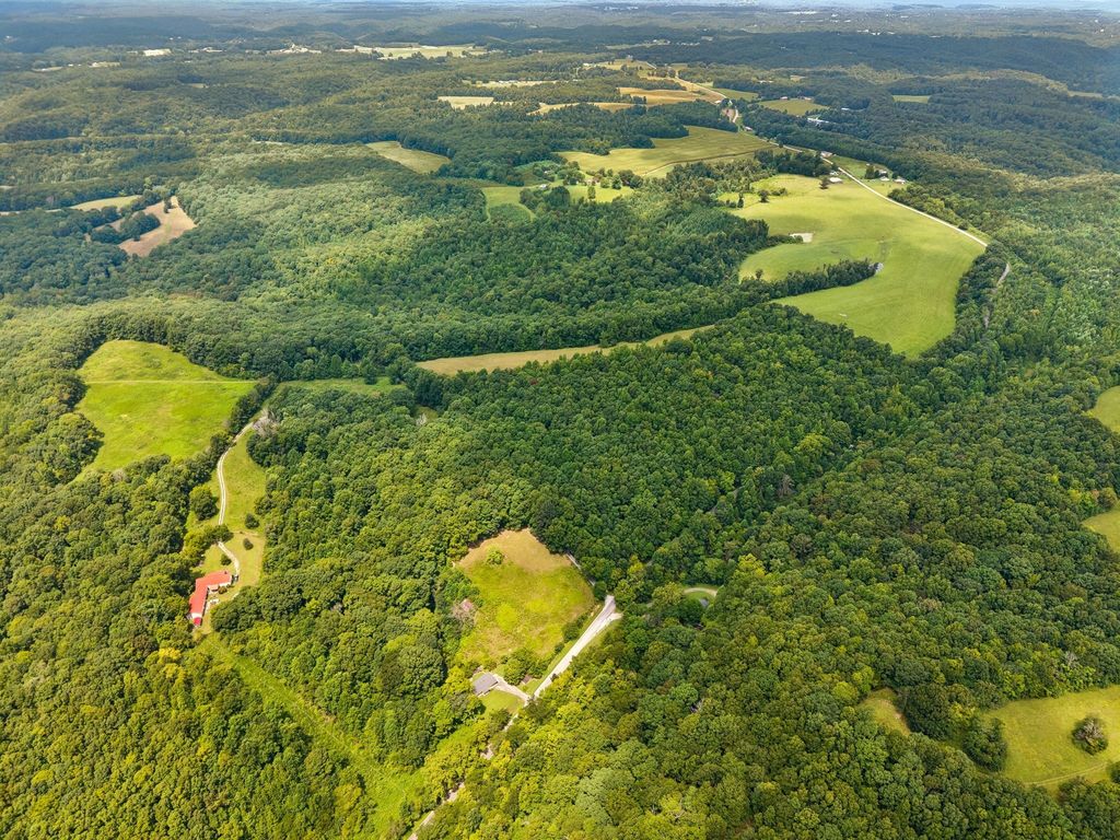 4647 Cowhorne Hollow Rd, Prospect