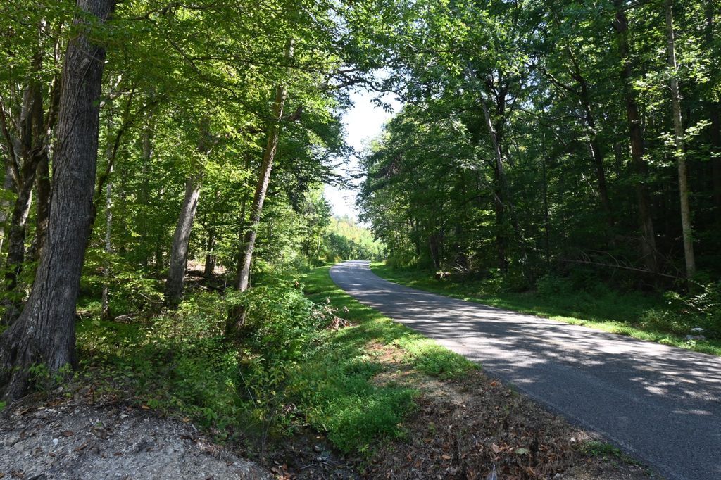 1738 Swindle Creek Rd, Linden