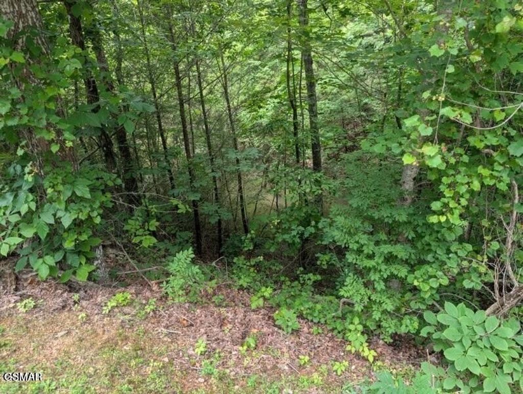 0 Ski Mtn Rd, Gatlinburg