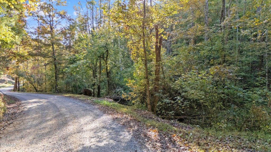 31 Sulpher Springs Way, Sevierville