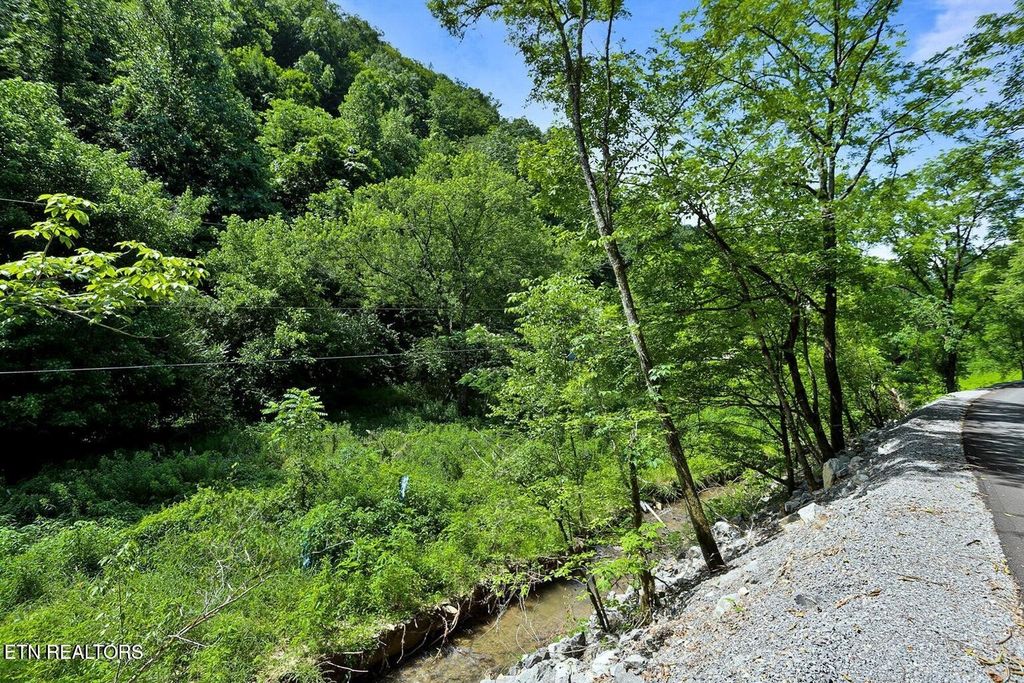 0 Caney Creek Rd, Pigeon Forge