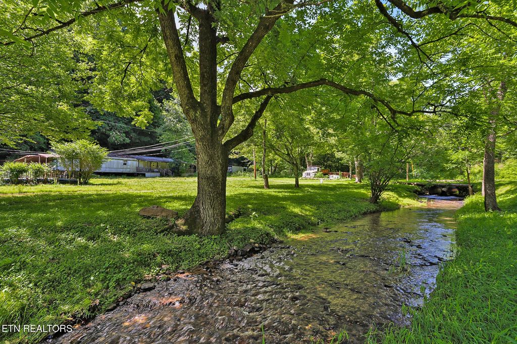 553 Caney Creek Rd, Pigeon Forge