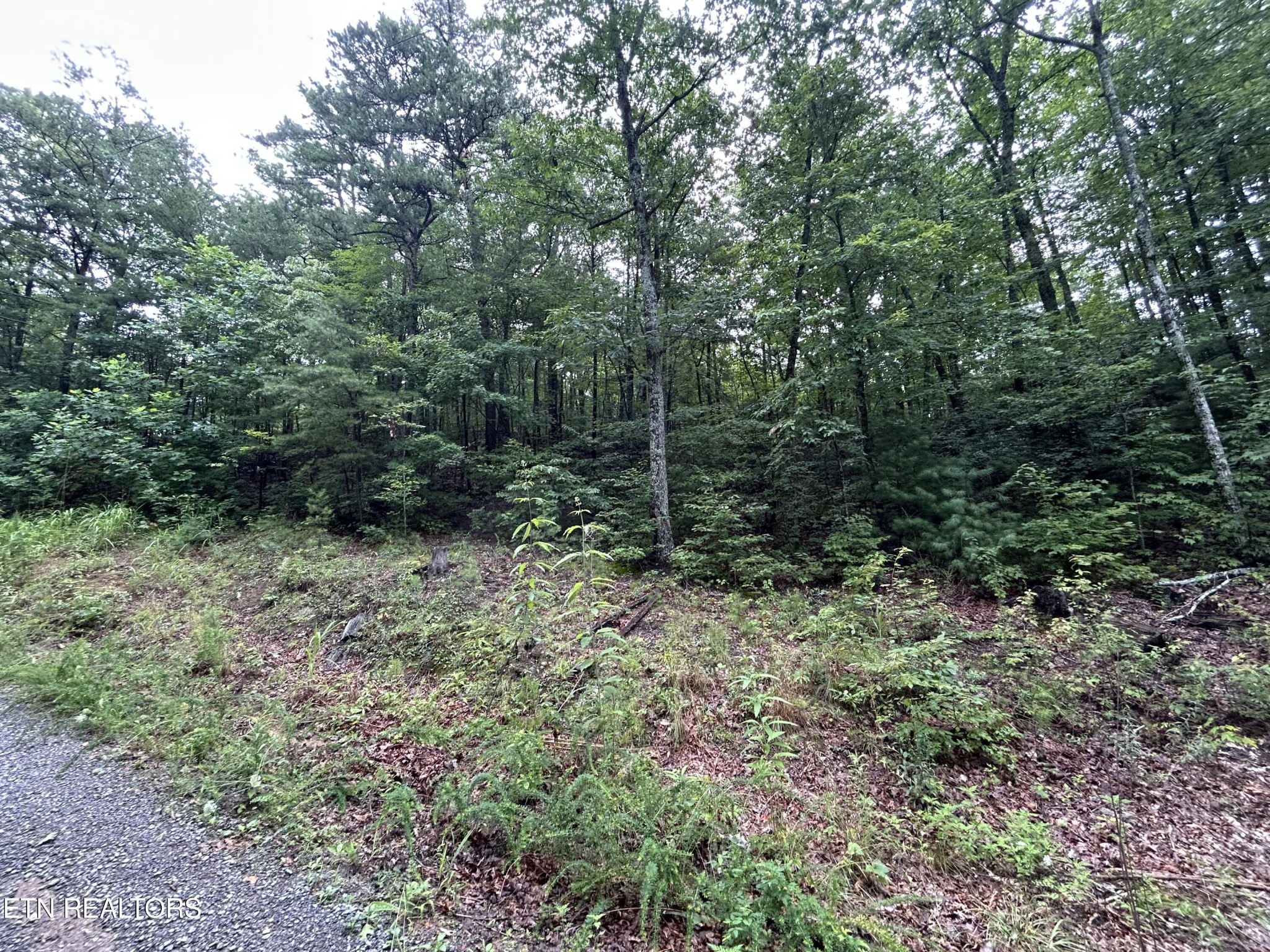 Photo of Listing #3544625