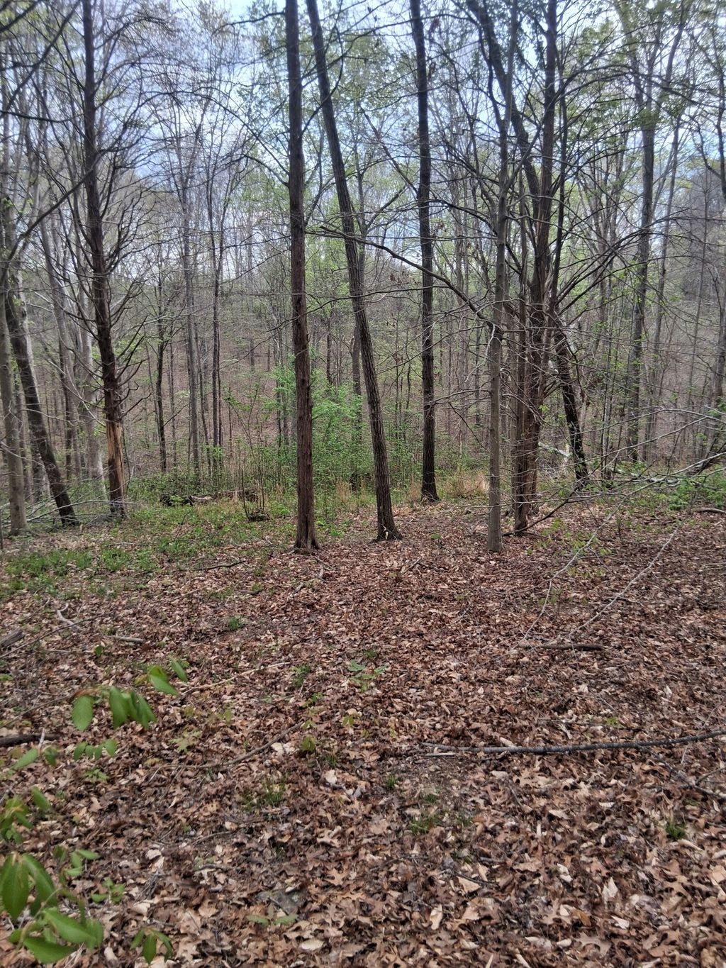 0 W Garrets Creek Rd, Westmoreland