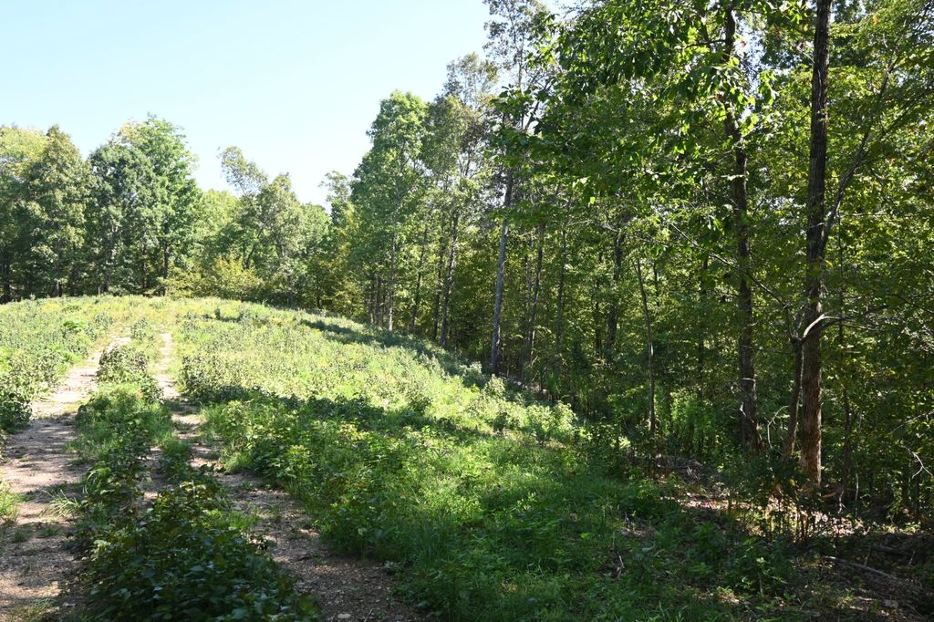 2038 Swindle Creek Rd, Linden