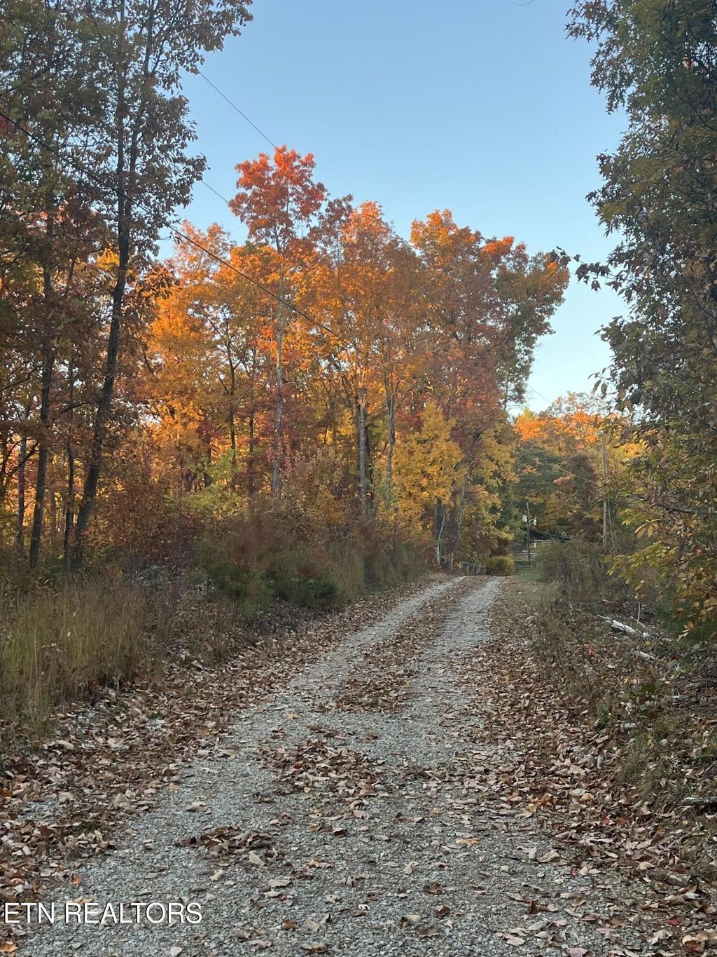 2742 Black Mountain Road, Tellico Plains