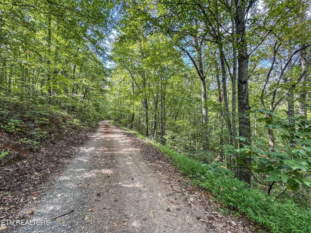552 New Providence Rd, Tellico Plains
