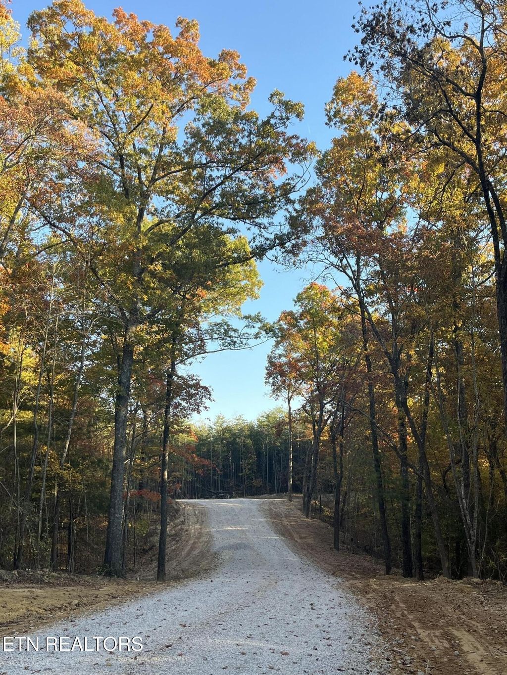 111 Cherokee Path, Tellico Plains