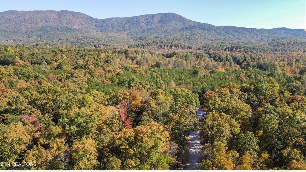 103 Cherokee Path, Tellico Plains