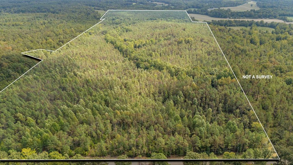 0 Terry Hair Rd, Adamsville