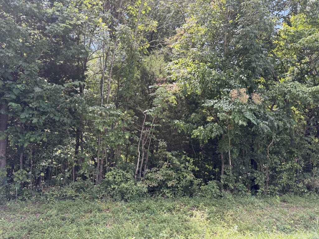 0 Southside Rd, Southside