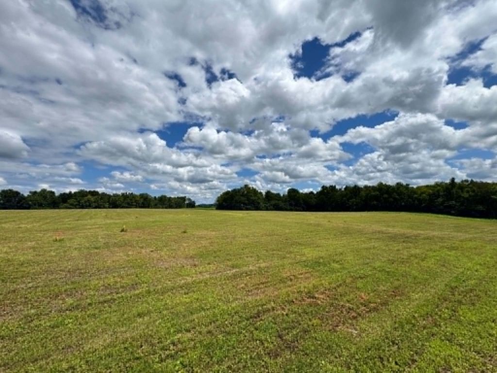 0 Ben Armstrong Rd, Castalian Springs