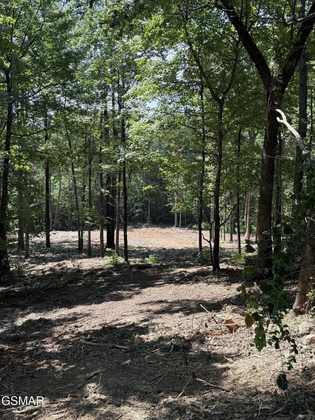 150 Mountaineer Trail, Sevierville