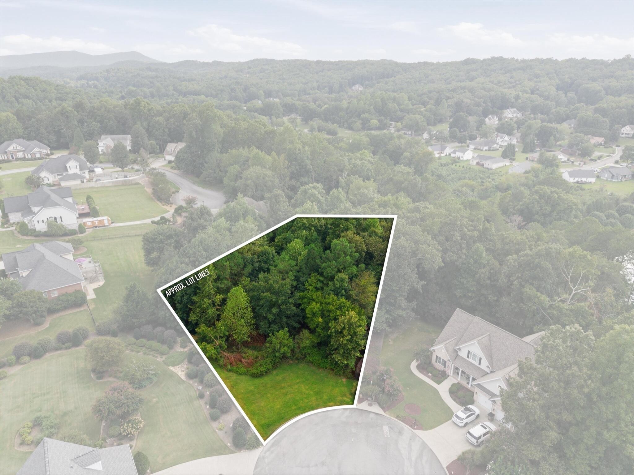 Photo of Listing #3545700