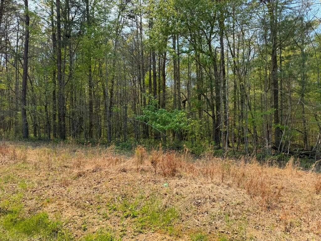 0 Ironsburg Road, Tellico Plains