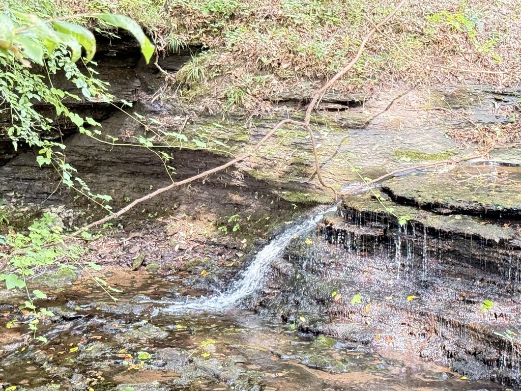 0 Hohenwald Hwy, Waynesboro