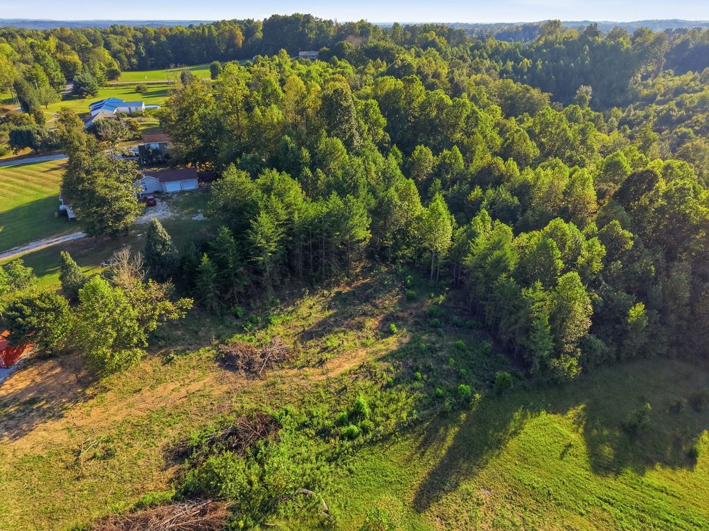 137 Vaughn Ln, Livingston