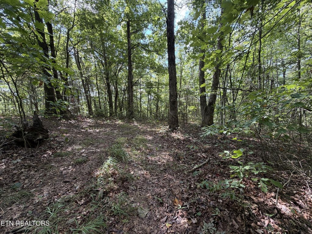 361 Long View Lane, Jamestown