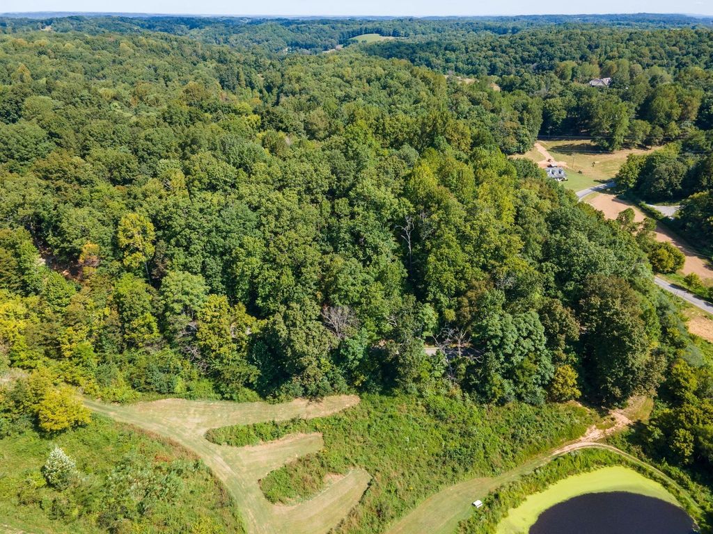 2311 Blue Branch Rd, Lynnville