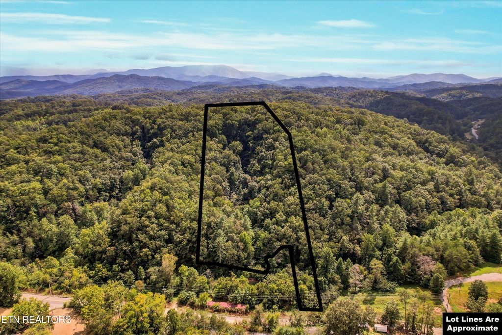 1316 River Divide Rd, Sevierville