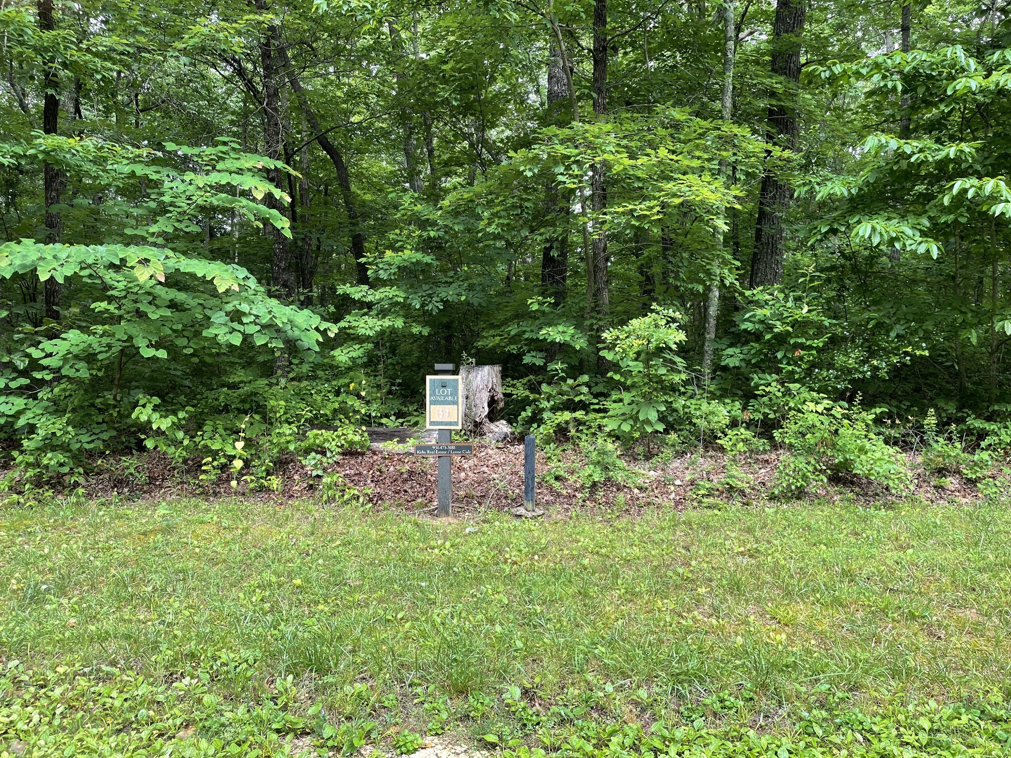 Home for sale in 57 Long Mountain Trl McMinnville, TN