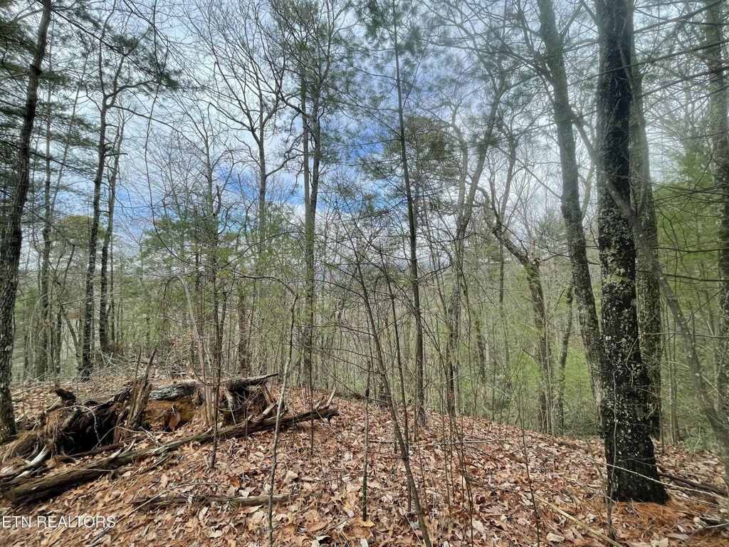 0 Walnut Flats Rd, Walland