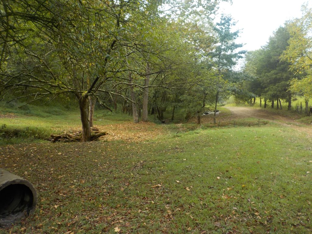 0 Rogues Fork Road, Bethpage