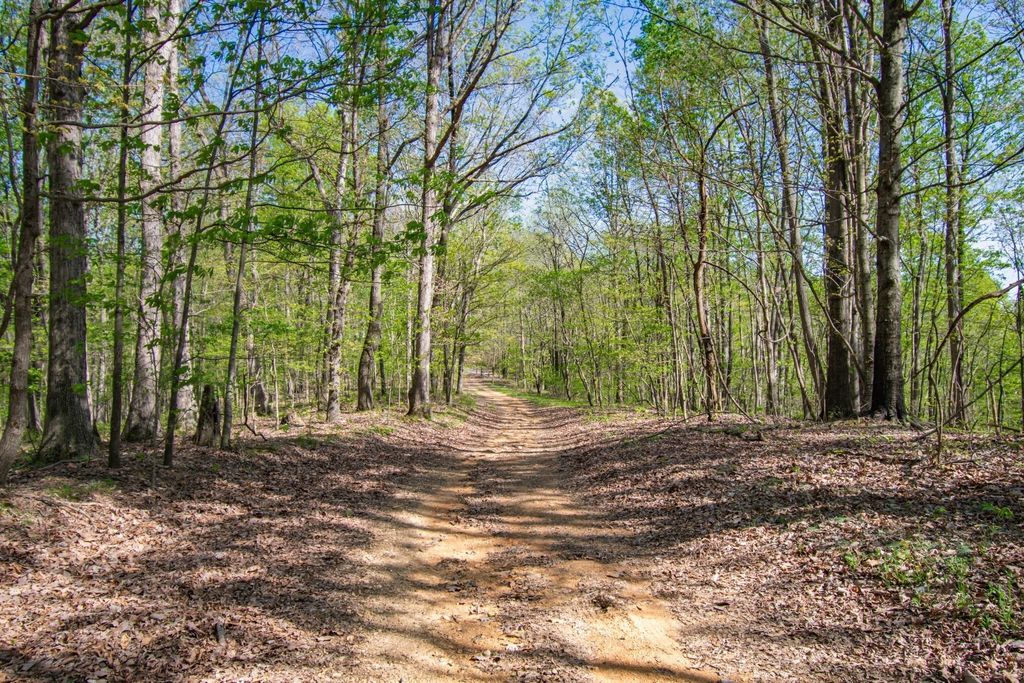 1555 Dog Hollow Road, Lynnville