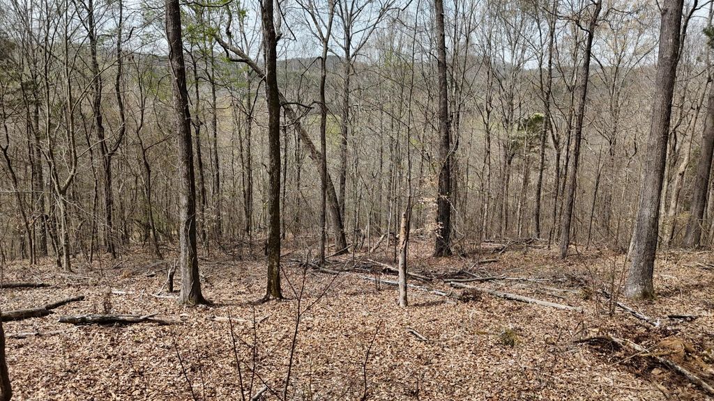 567 Geren Subdivision Lane, Decatur