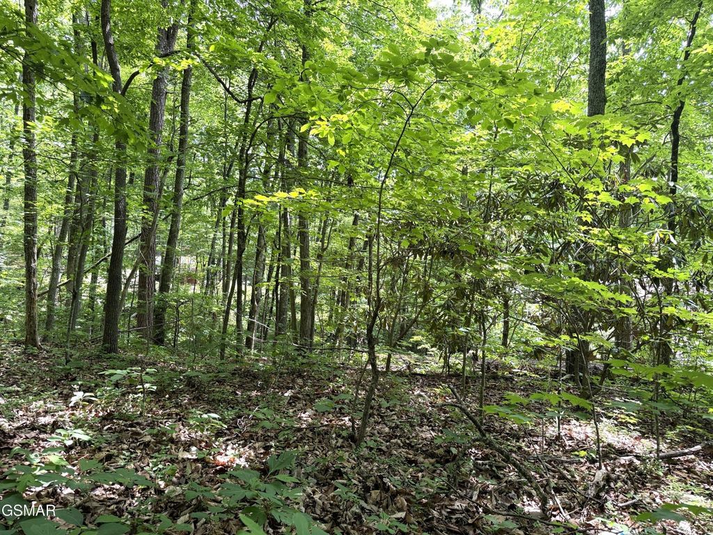 10 Swan Saddle, Sevierville