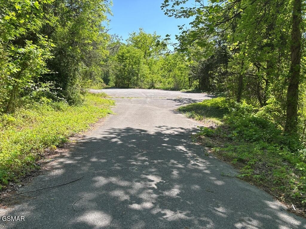 Photo of Listing #3548185