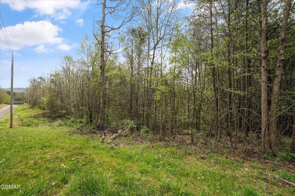 1433 Timber Trail, Newport
