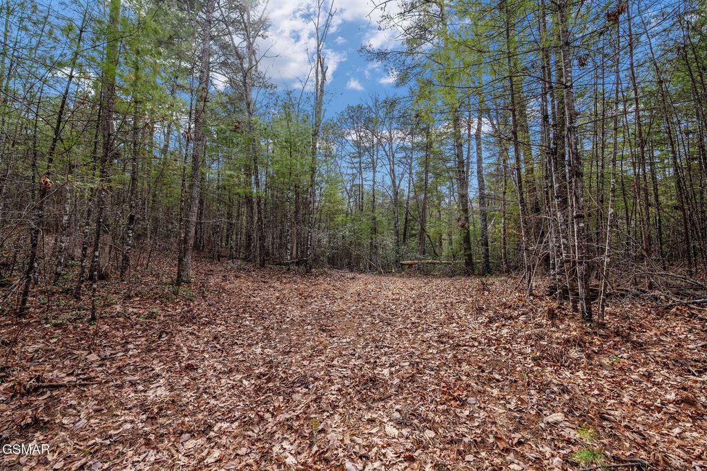 14 Paint Horse Way, Sevierville
