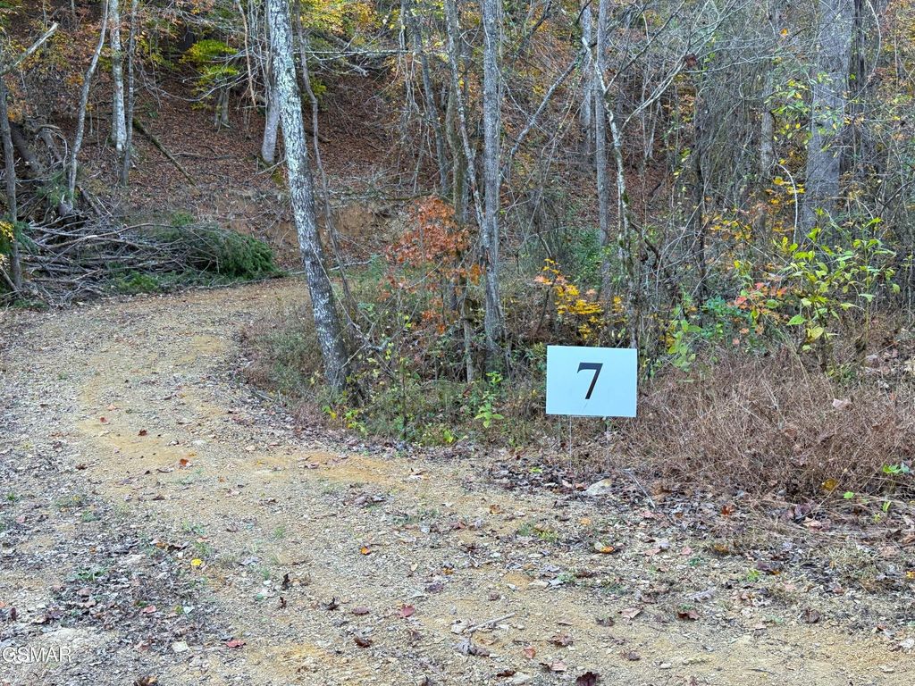 7 Topaz Way, Parrottsville