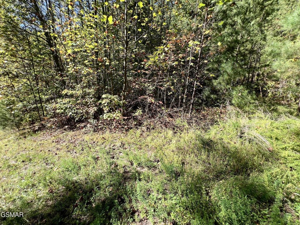 561 Creek Hollow Way, Sevierville