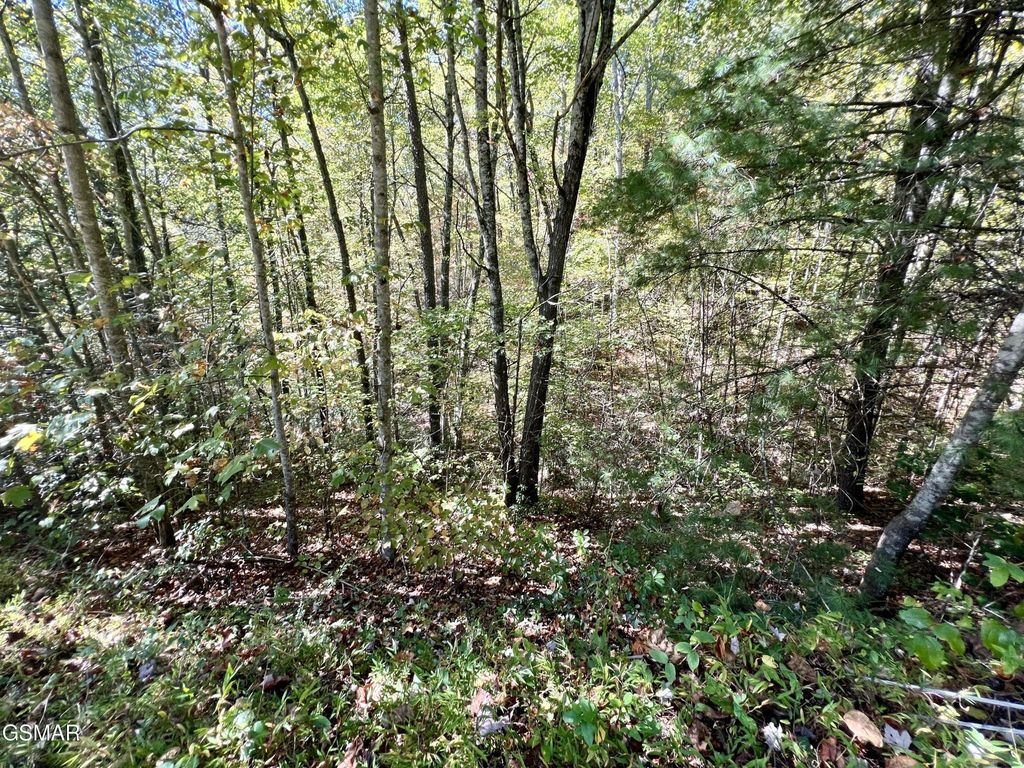 6 Creek Hollow Way, Sevierville