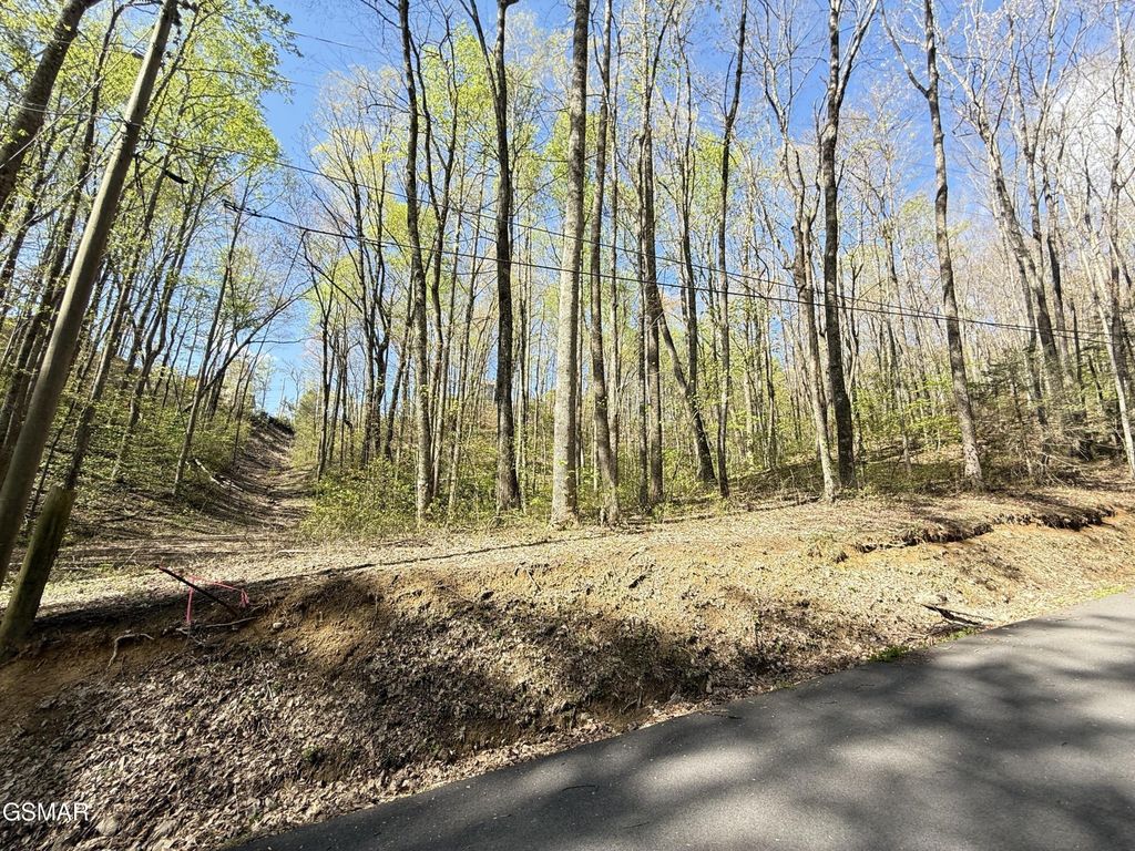 1440 Laurel Road, Gatlinburg