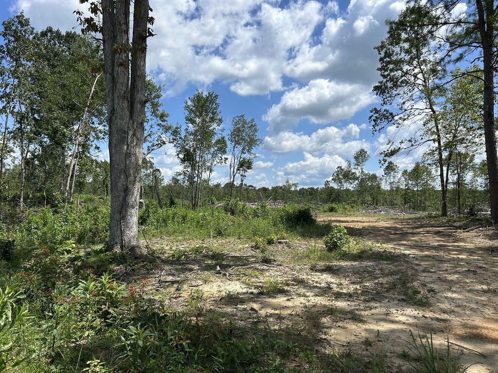 0 Wynn Rd, Big Sandy