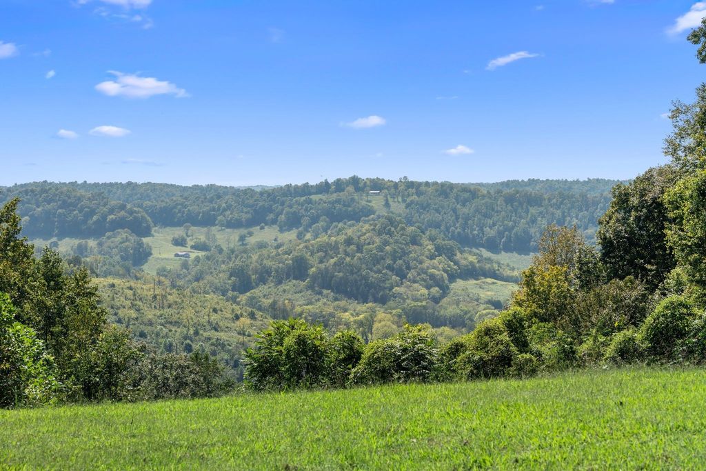 0 Beaver Ln, Gainesboro