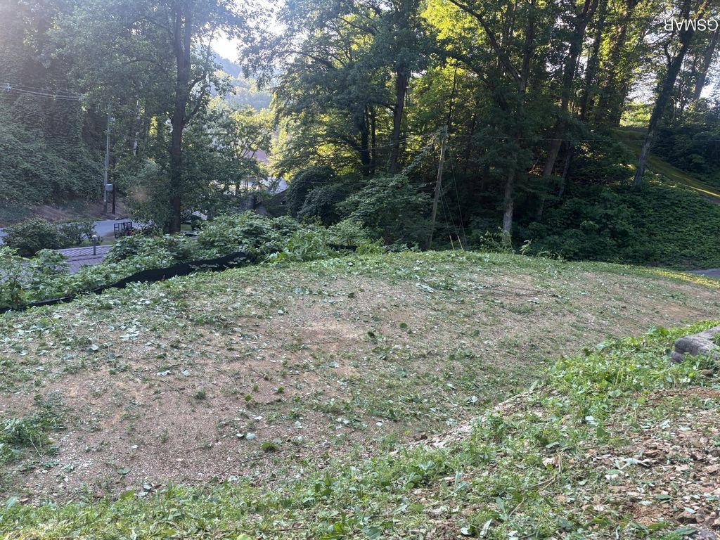 229 Silverbell Lane, Gatlinburg