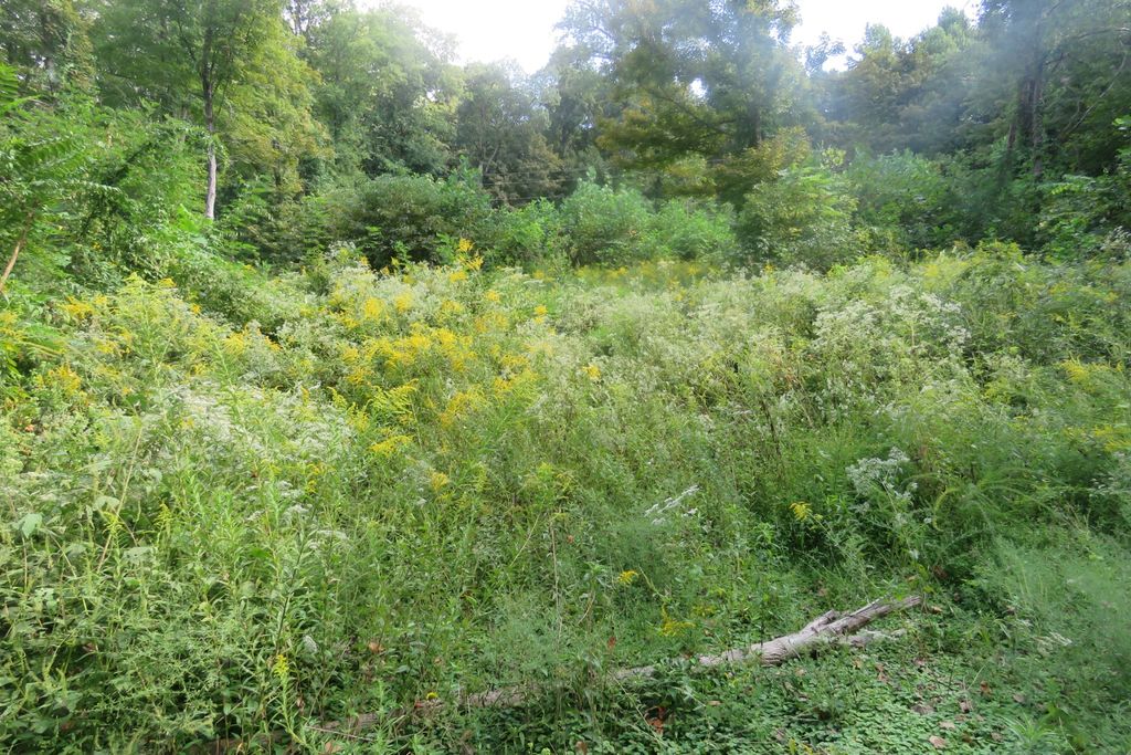 0 Watauga Road, Cookeville