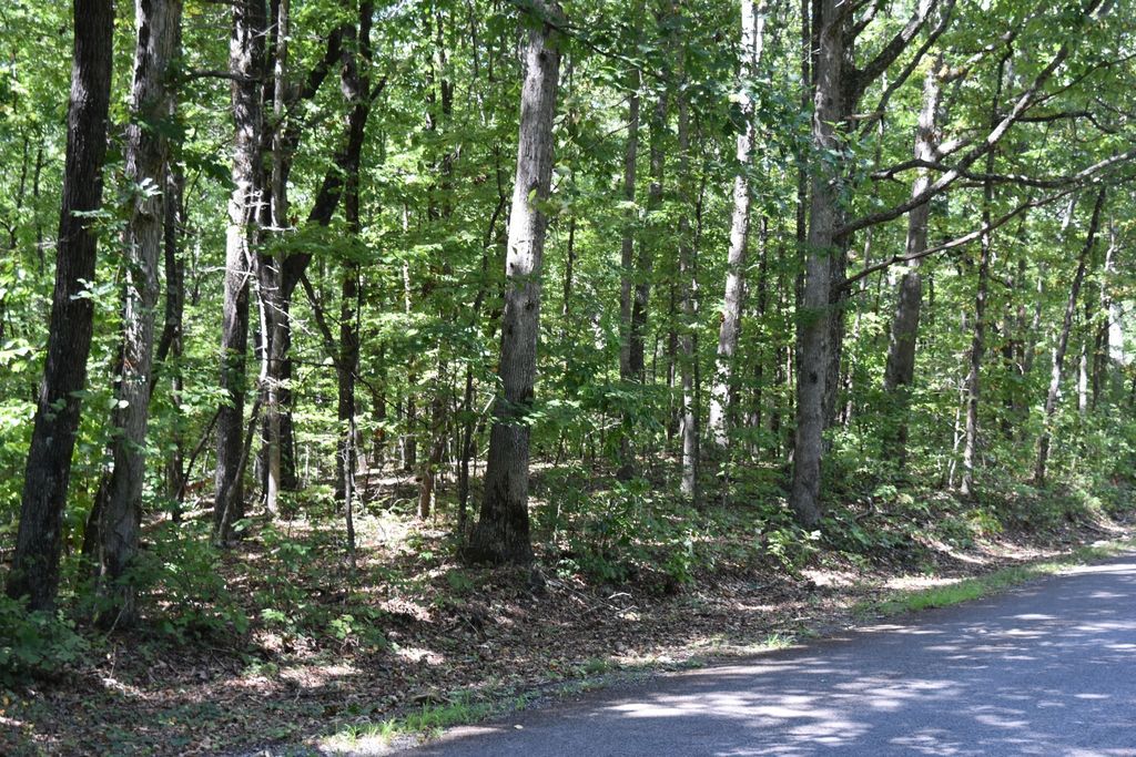 0 Lower Firetower Road, Sequatchie