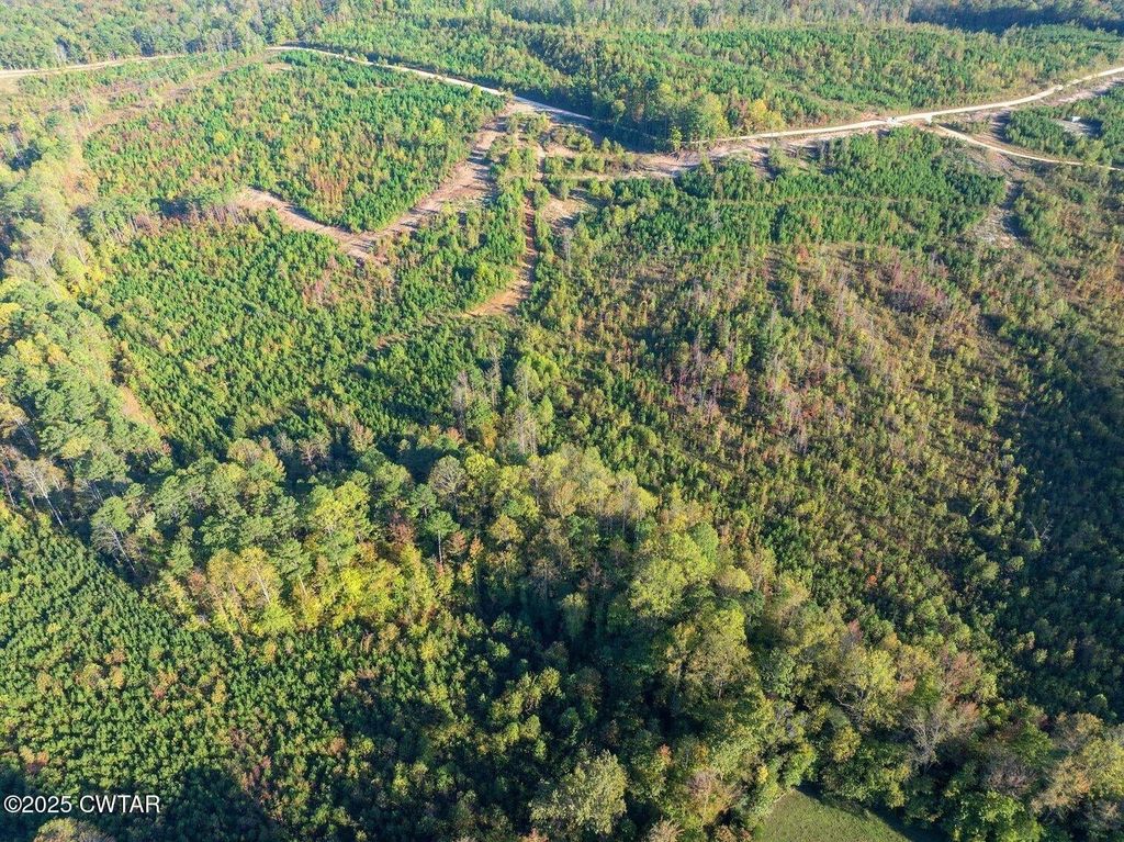 0 Tucker Road, Bath Springs