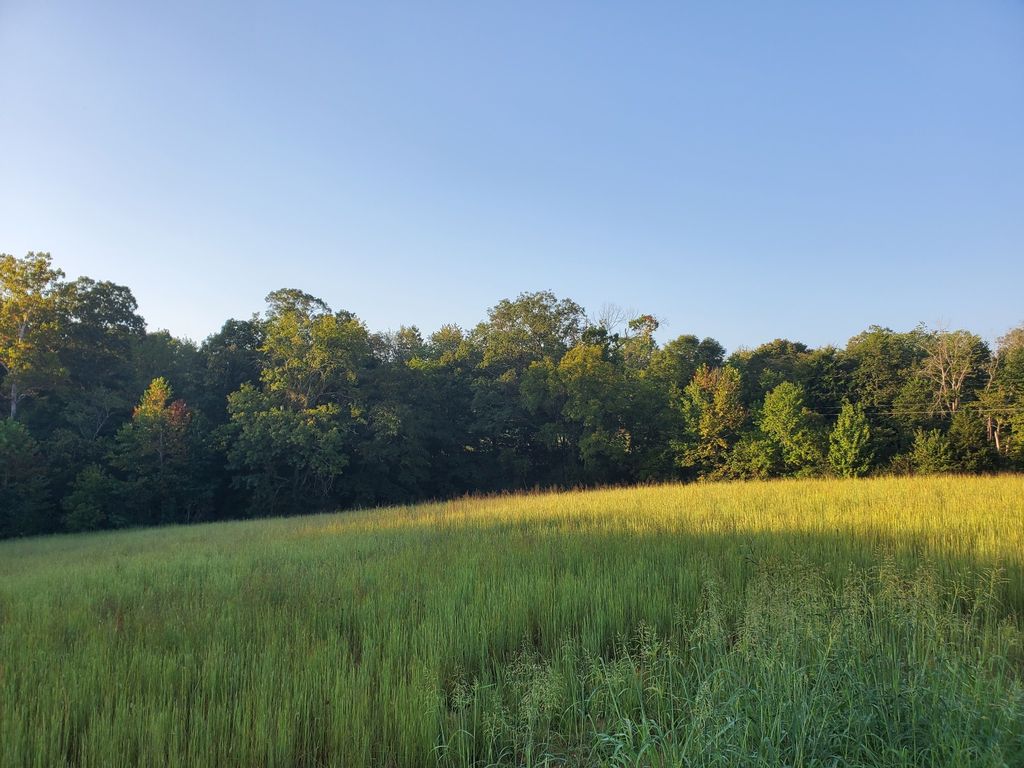 2242 Shelton Ferry Rd, Southside