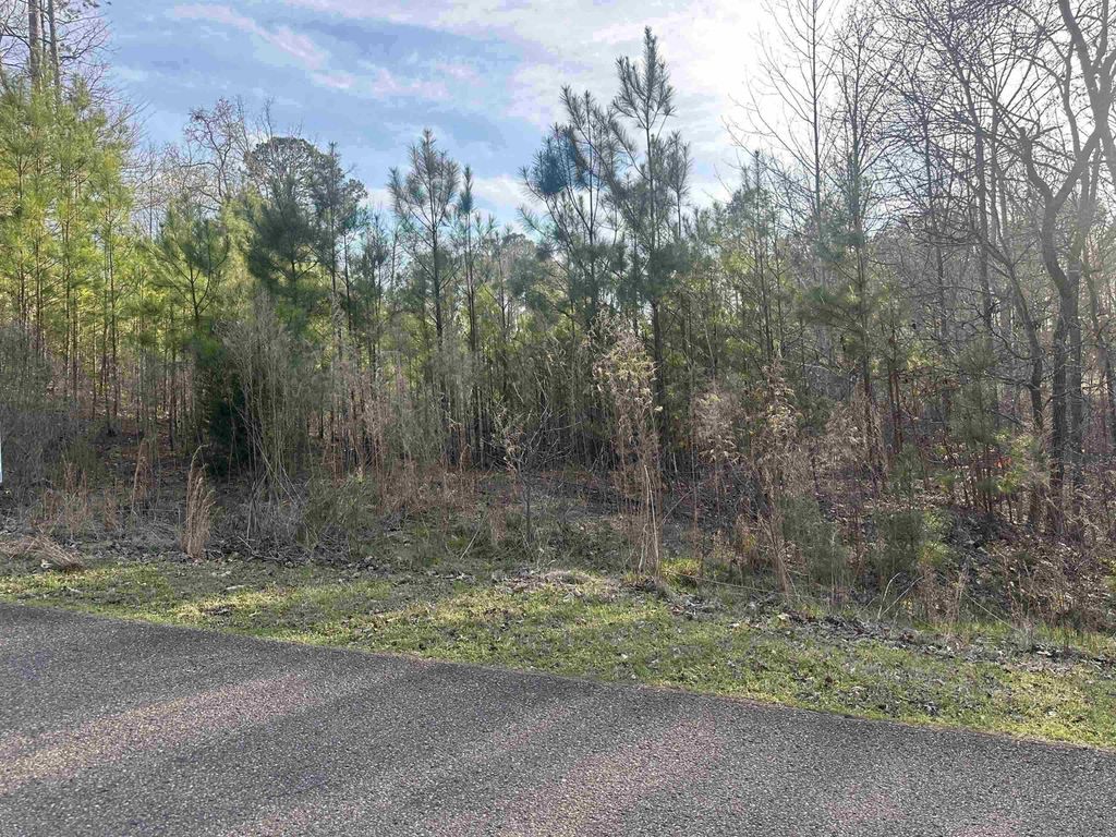 0 Shiloh Falls Court Rd, Savannah