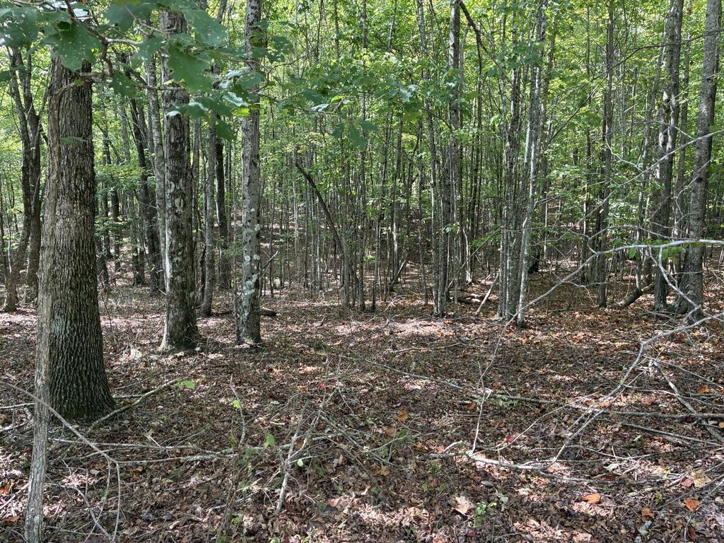 0 2 Lake Trail, Dunlap