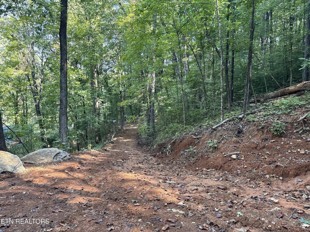 0 County Road 38, Riceville