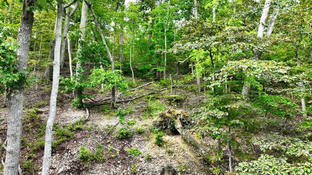 1 Ridge Top Rd, Stewart