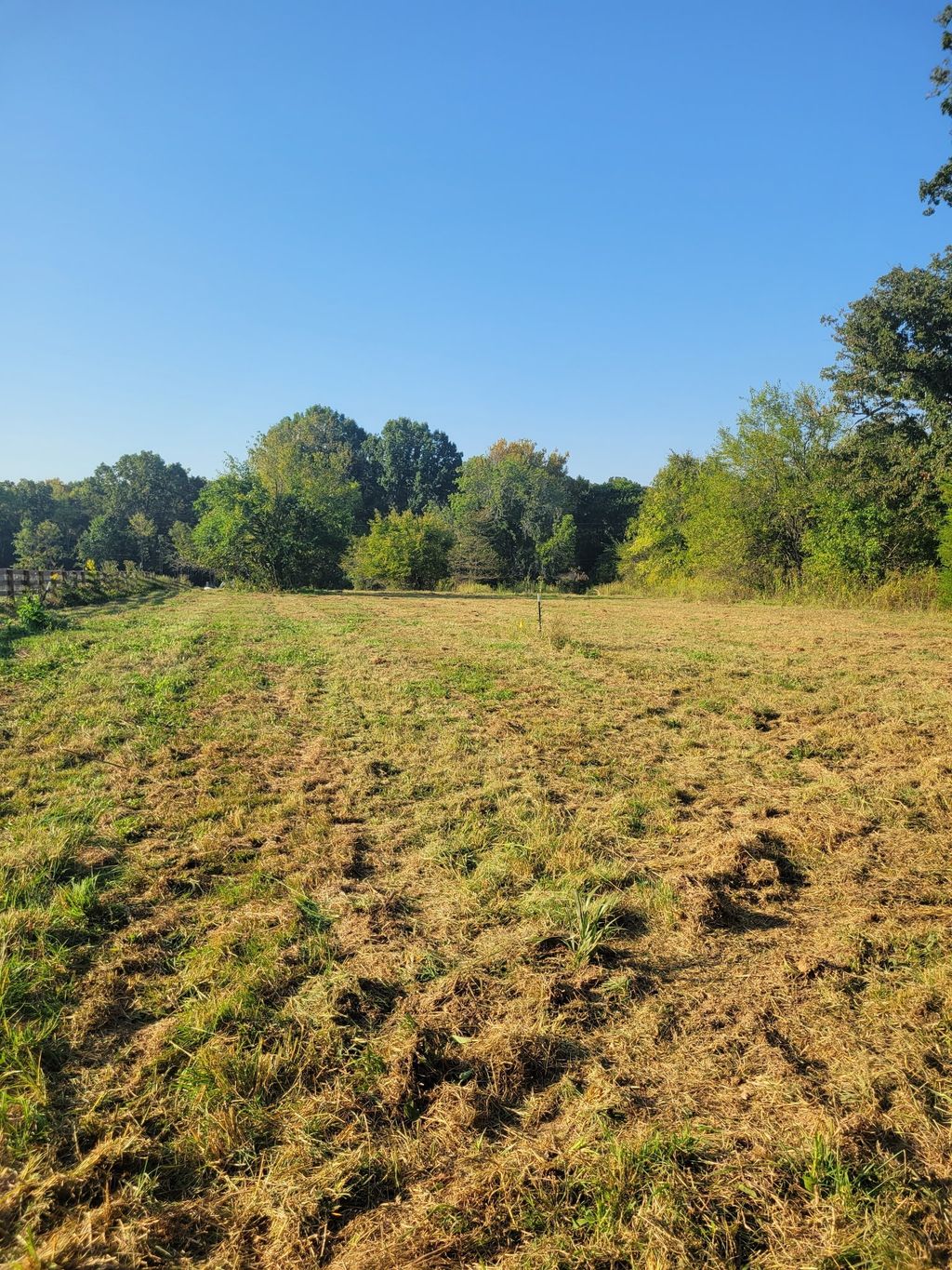 8 Double Branch Road, Columbia