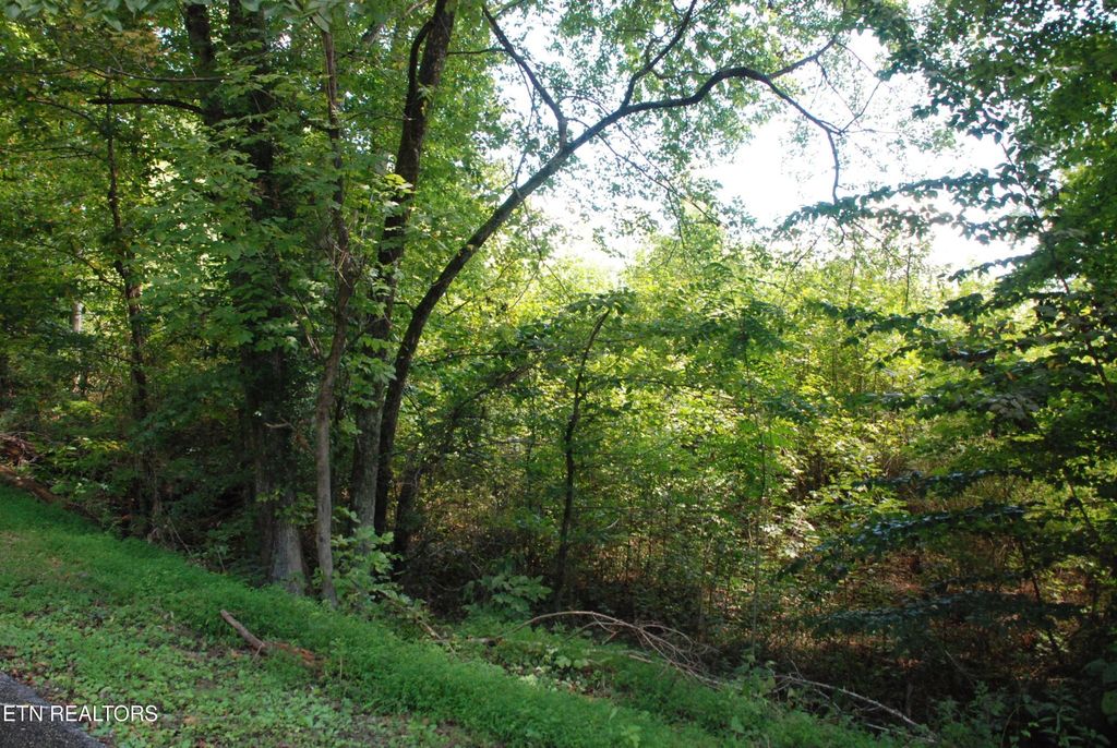 2222320 Vann Drive, Harriman